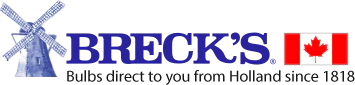 Breck's Canada